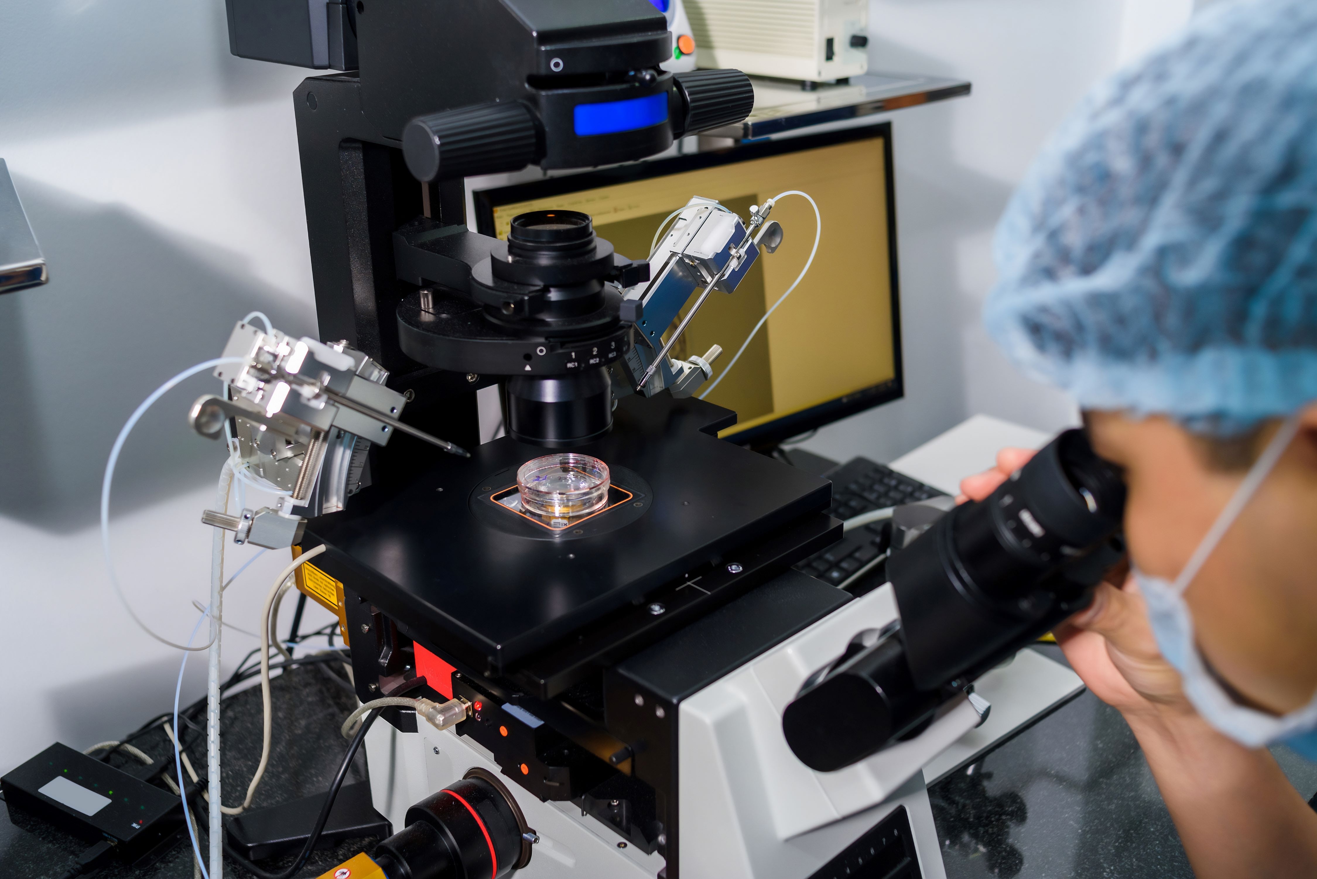 Intelligenza artificiale nel laboratorio di PMA: applicazioni emergenti e implicazioni per la qualità dei processi